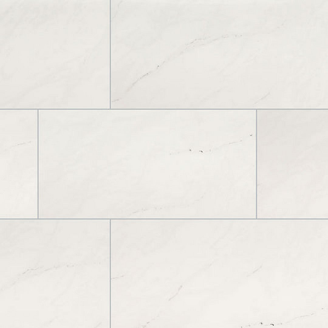 MS International Aria 12" x 24" Polished Porcelain Tile