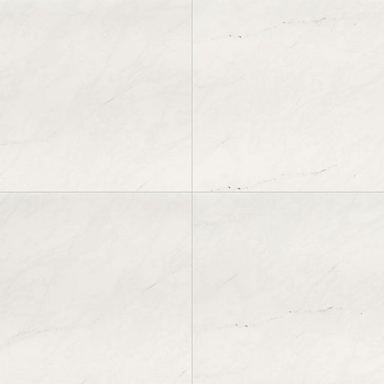 MS International Aria 24" x 24" Polished Porcelain Tile