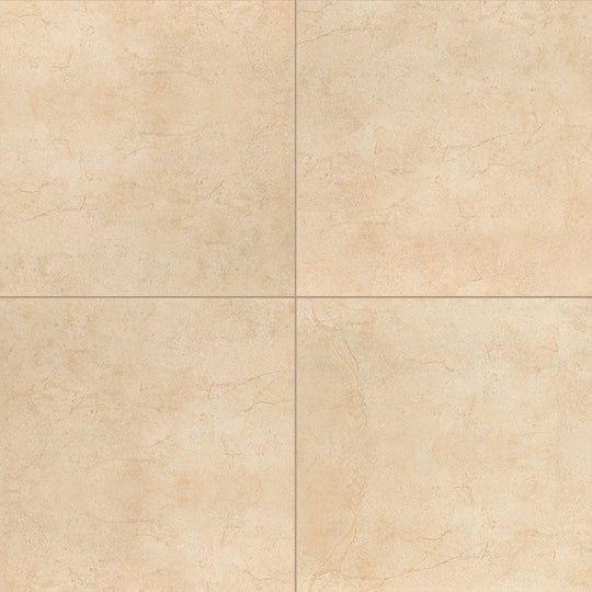 MS International Aria 24" x 24" Polished Porcelain Tile