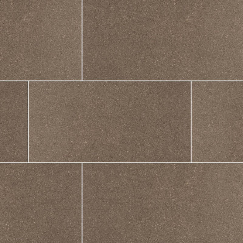 MS International 24" x 48" Dimensions Porcelain Tile