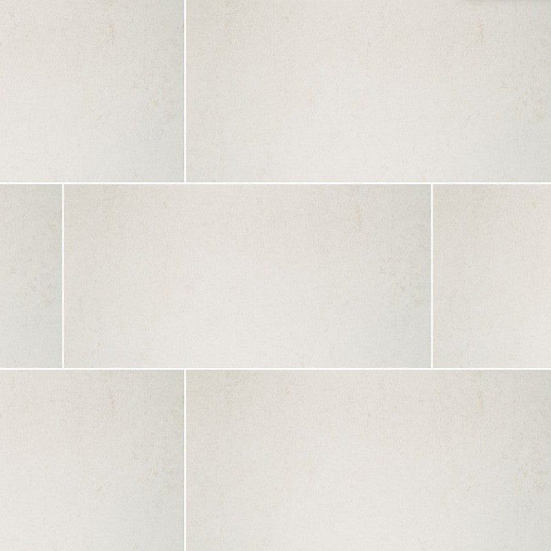 MS International 24" x 48" Dimensions Porcelain Tile