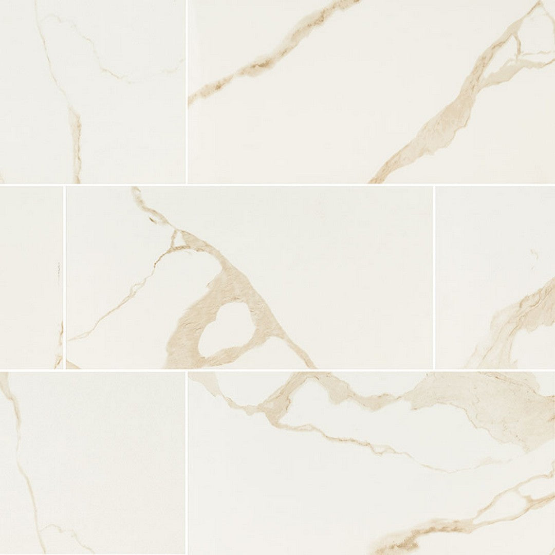 MS International Eden 12" x 24" Matte Porcelain Tile