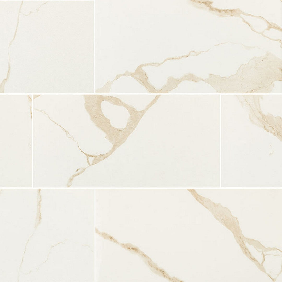 MS International Eden 24" x 48" Polished Porcelain Tile