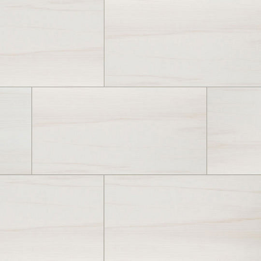 MS International Eden 12" x 24" Matte Porcelain Tile