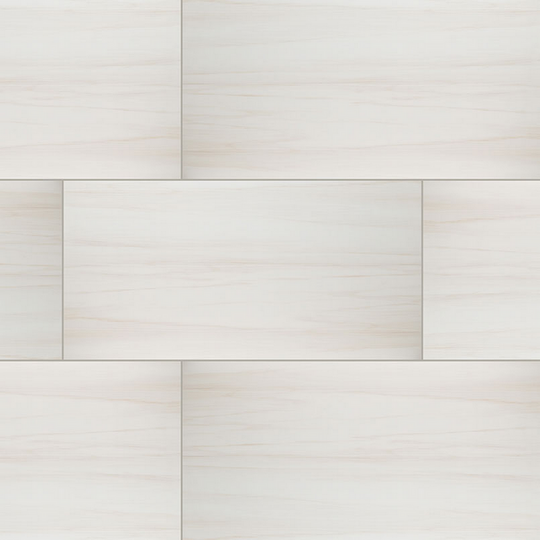 MS International Eden 24" x 48" Polished Porcelain Tile