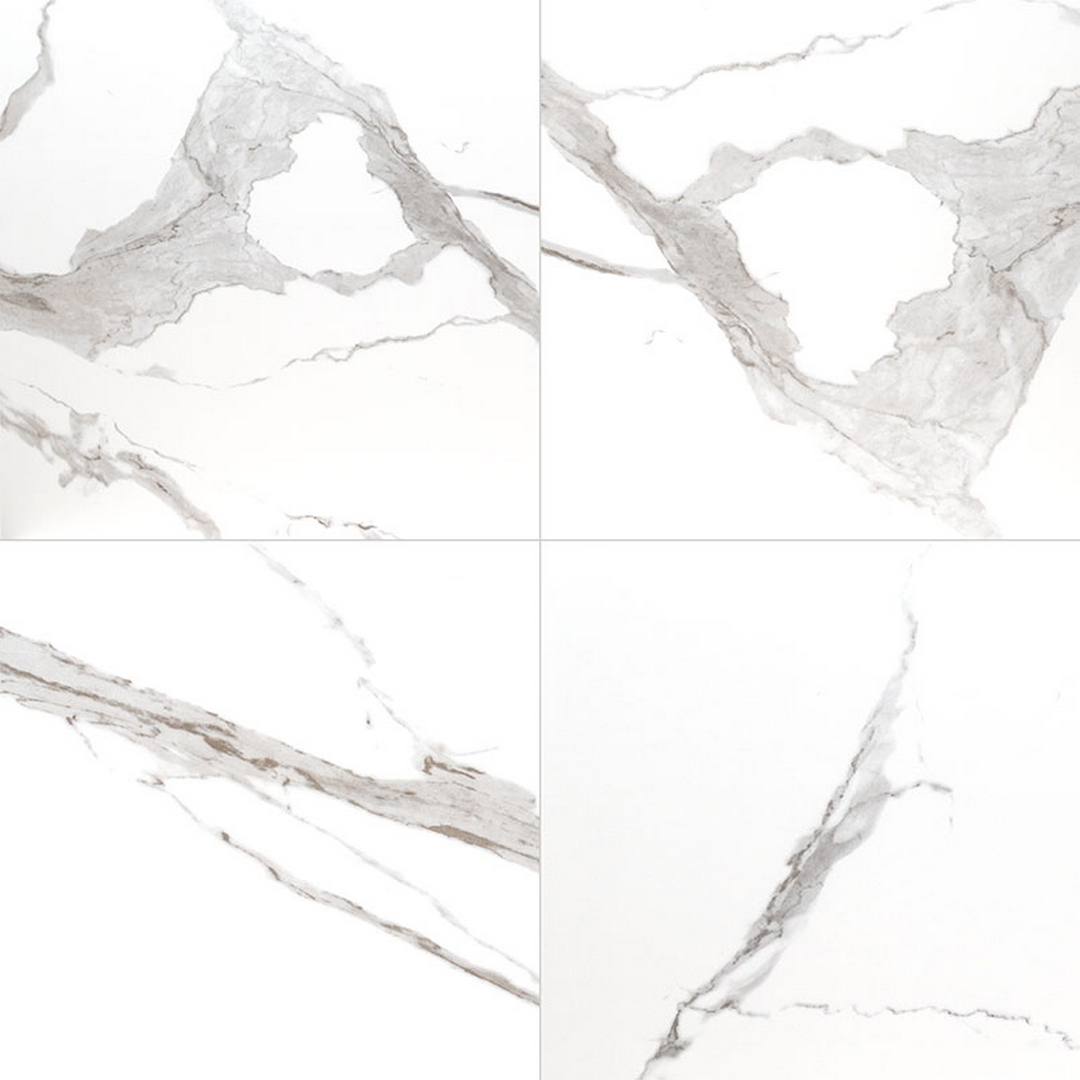 MS International Eden 24" x 24" Matte Porcelain Tile