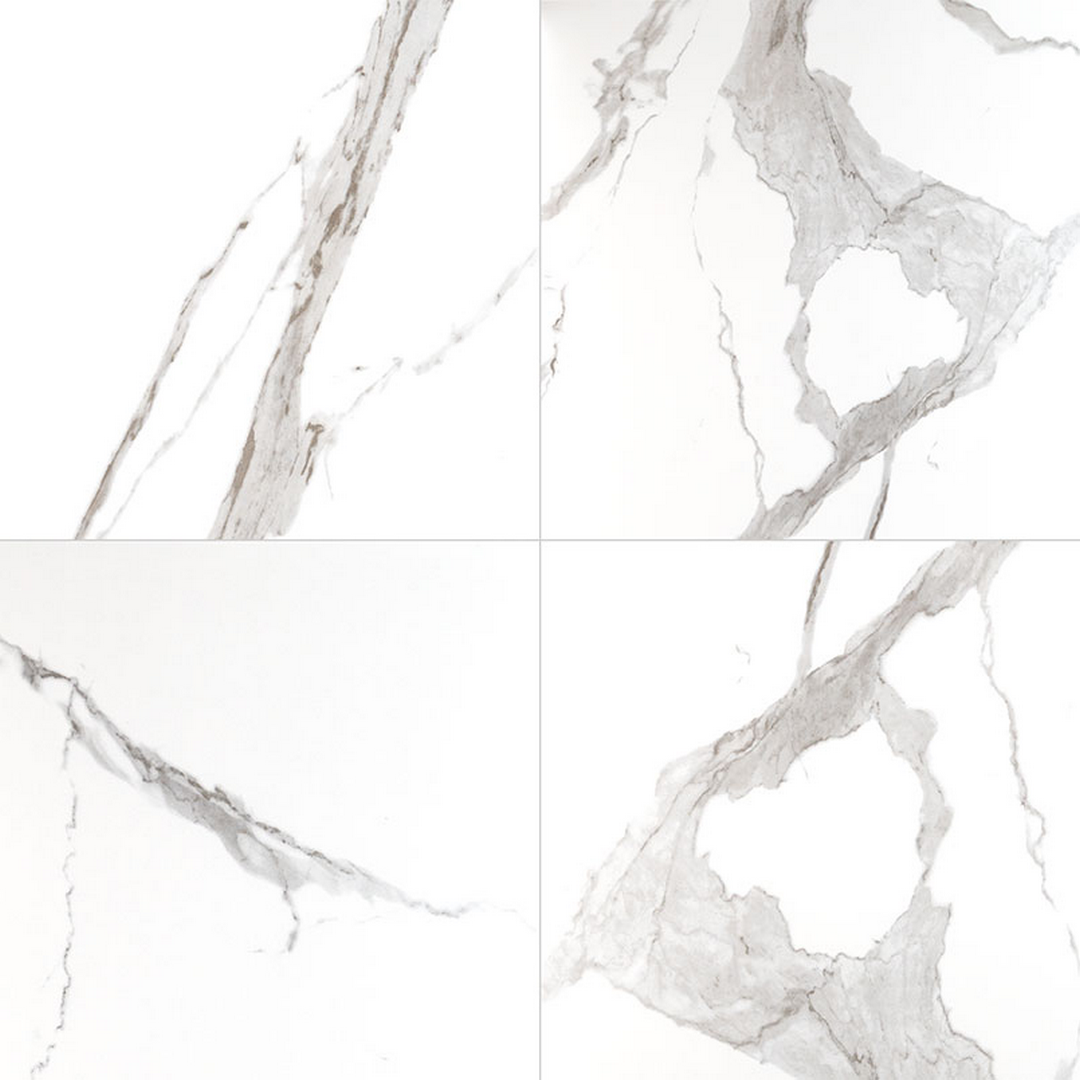 MS International Eden 24" x 24" Polished Porcelain Tile