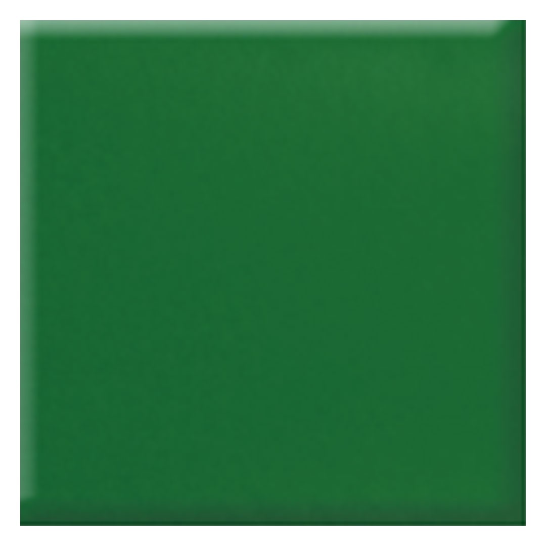 Daltile-Natural-Hues-6-x-6-Matte-Porcelain-Floor-Tile-Spring-Green