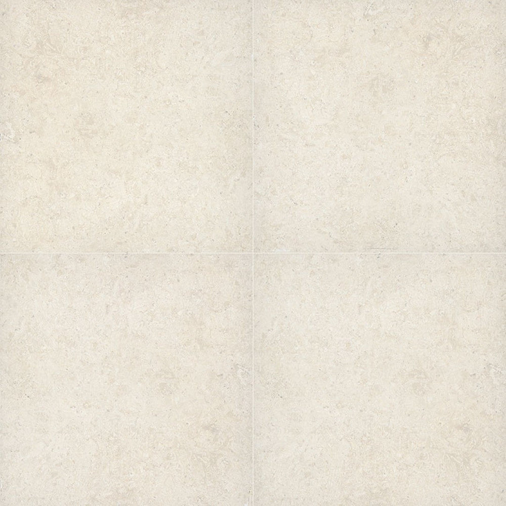 MS International Myra 24" x 24" Matte Porcelain Tile