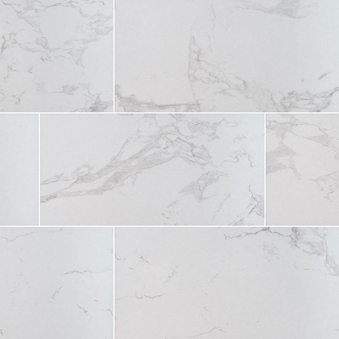 MS International Praia 12" x 24" Polished Porcelain Tile 10mm