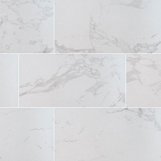 MS International Praia 24" x 48" Matte Porcelain Tile 10mm