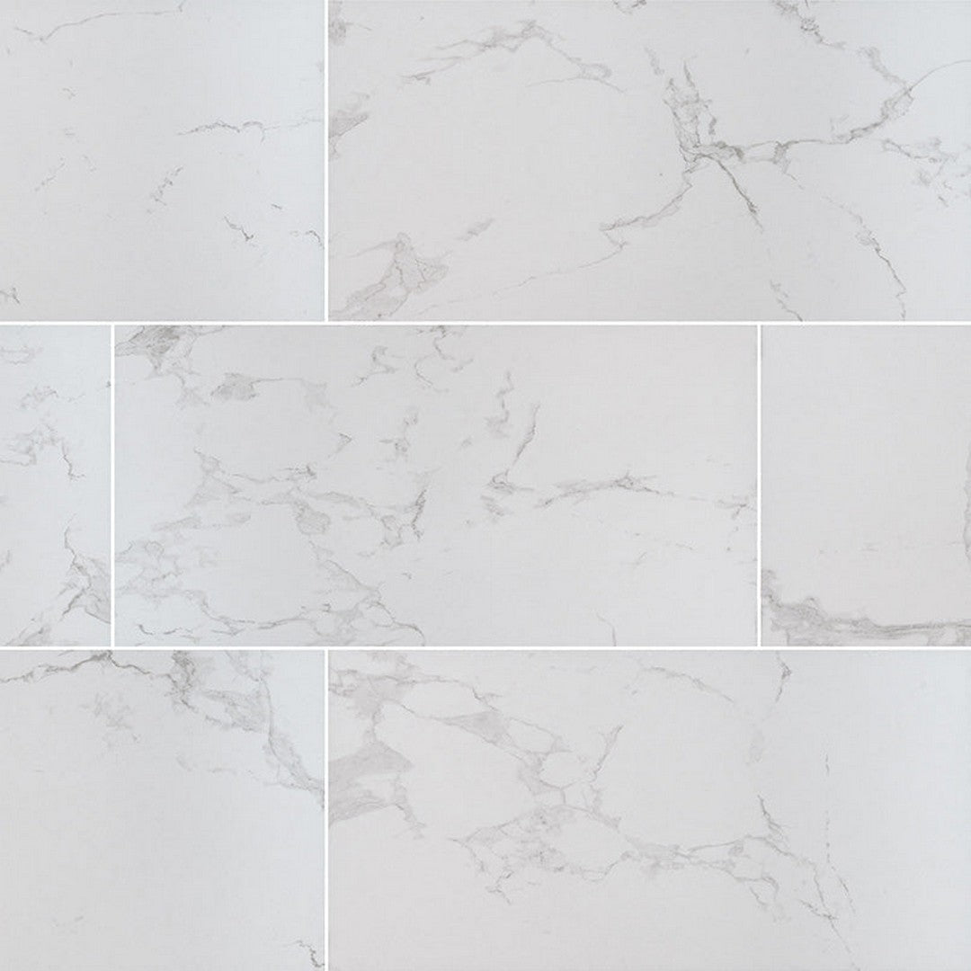 MS International Praia 24" x 48" Polished Porcelain Tile