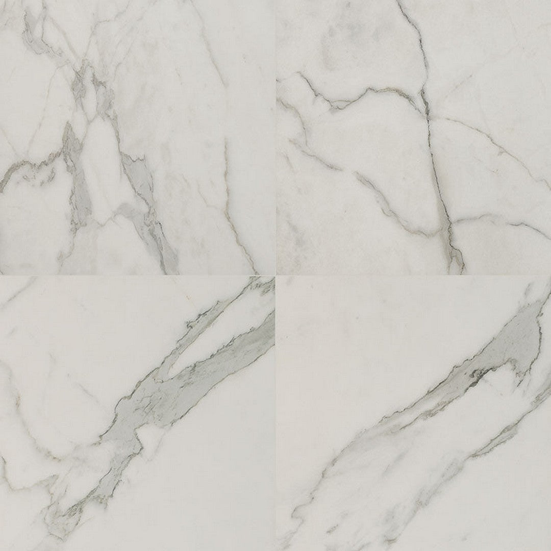 MS International Regallo 24" x 24" Polished Porcelain Tile