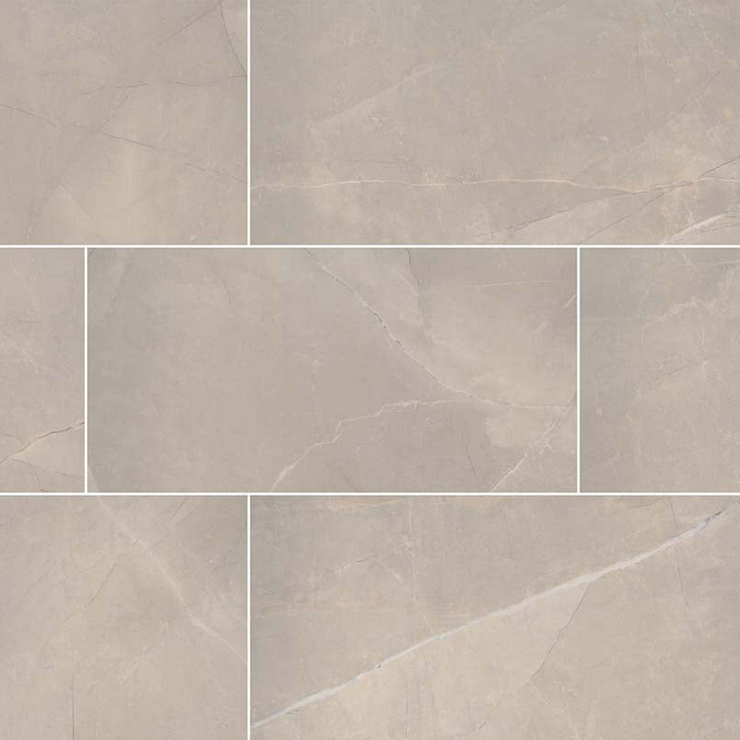 MS International Sande 24" x 48" Matte Porcelain Tile