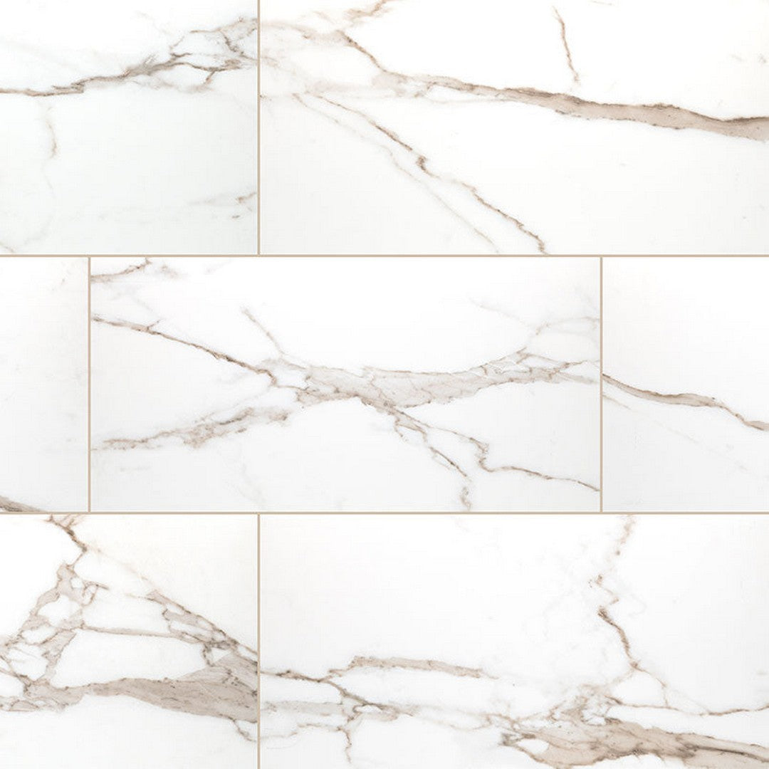 MS International Savoy 12" x 24" Polished Porcelain Tile