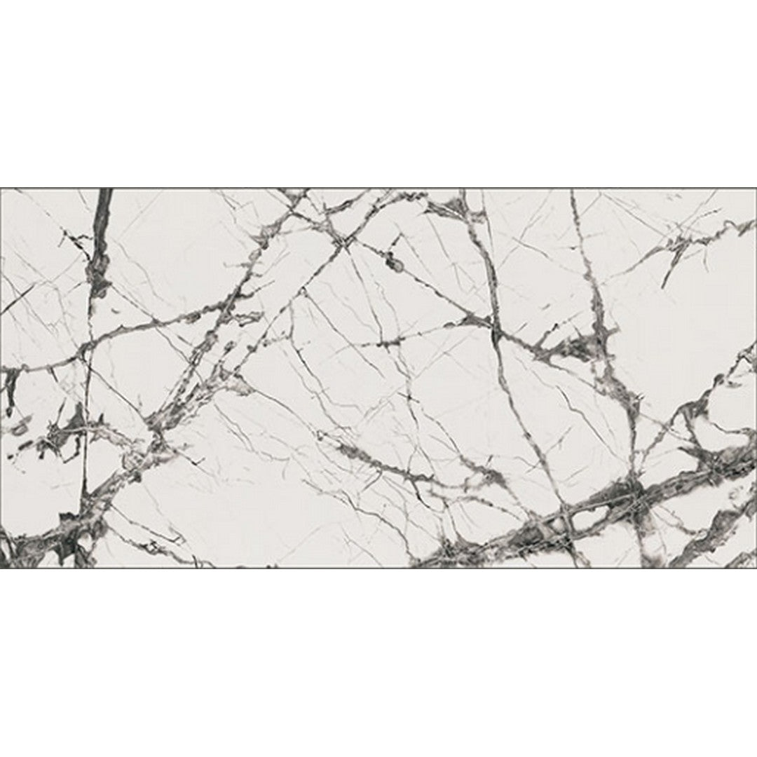 MS International 24" x 48" Exotika Rectified Polished Porcelain Tile
