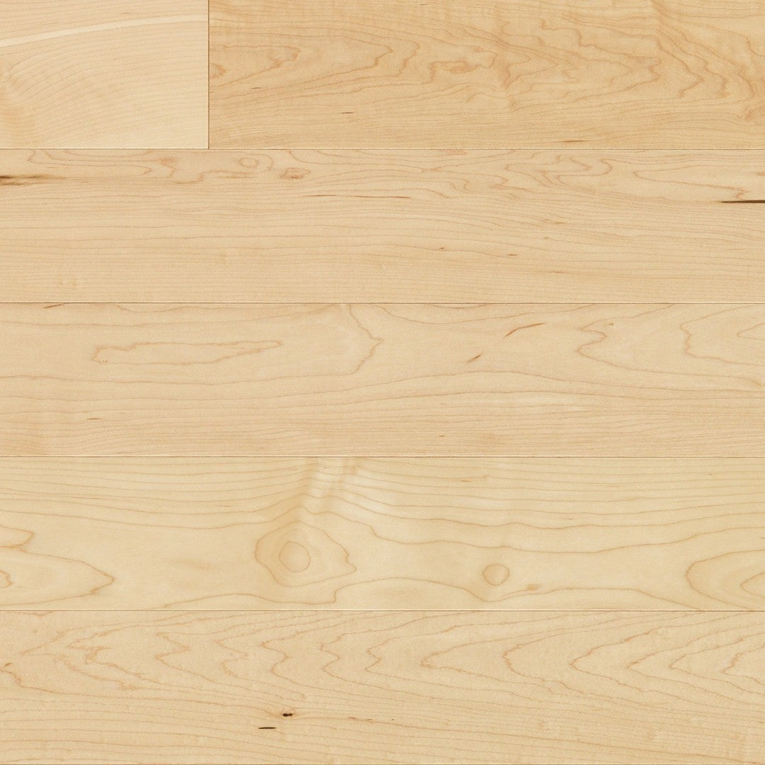 Mercier Origins Solid 2.25" x 80" Distinction Soid Hard Maple Matte 19mm Hardwood Plank