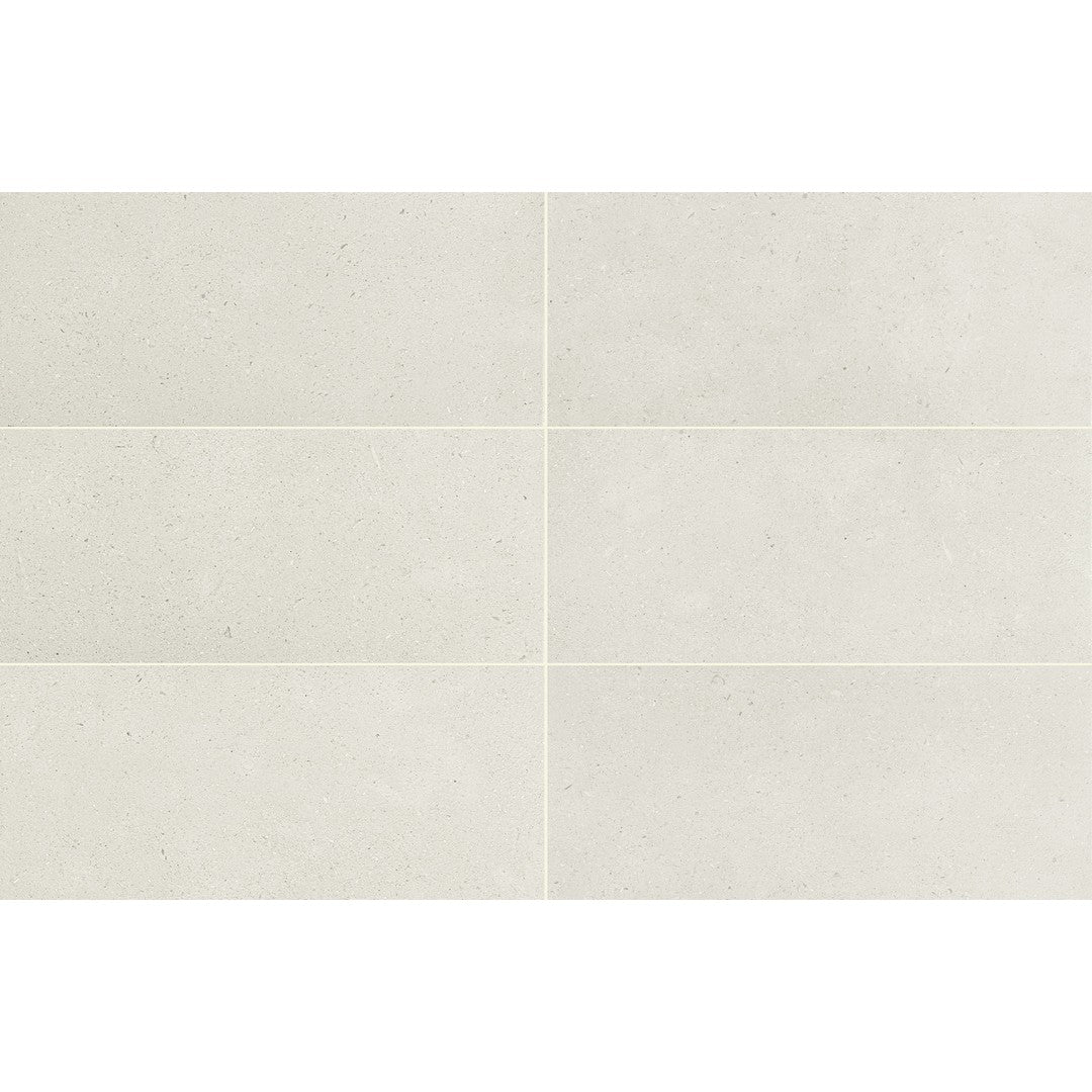 Daltile Outlander 12" x 24" Palazzo