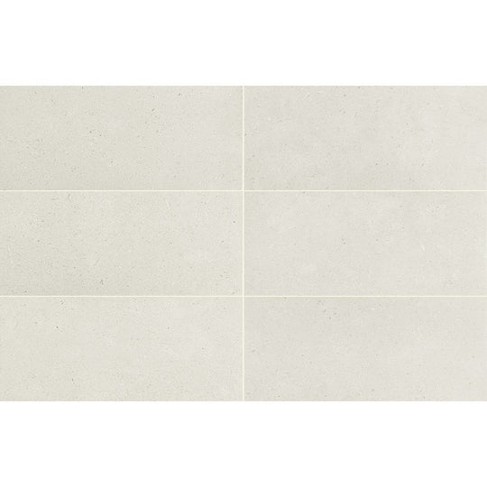 Daltile Outlander 12" x 24" Palazzo