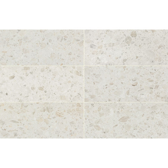 Daltile Outlander 12" x 24" Grande