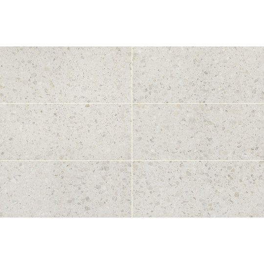 Daltile Outlander 12" x 24" Medio