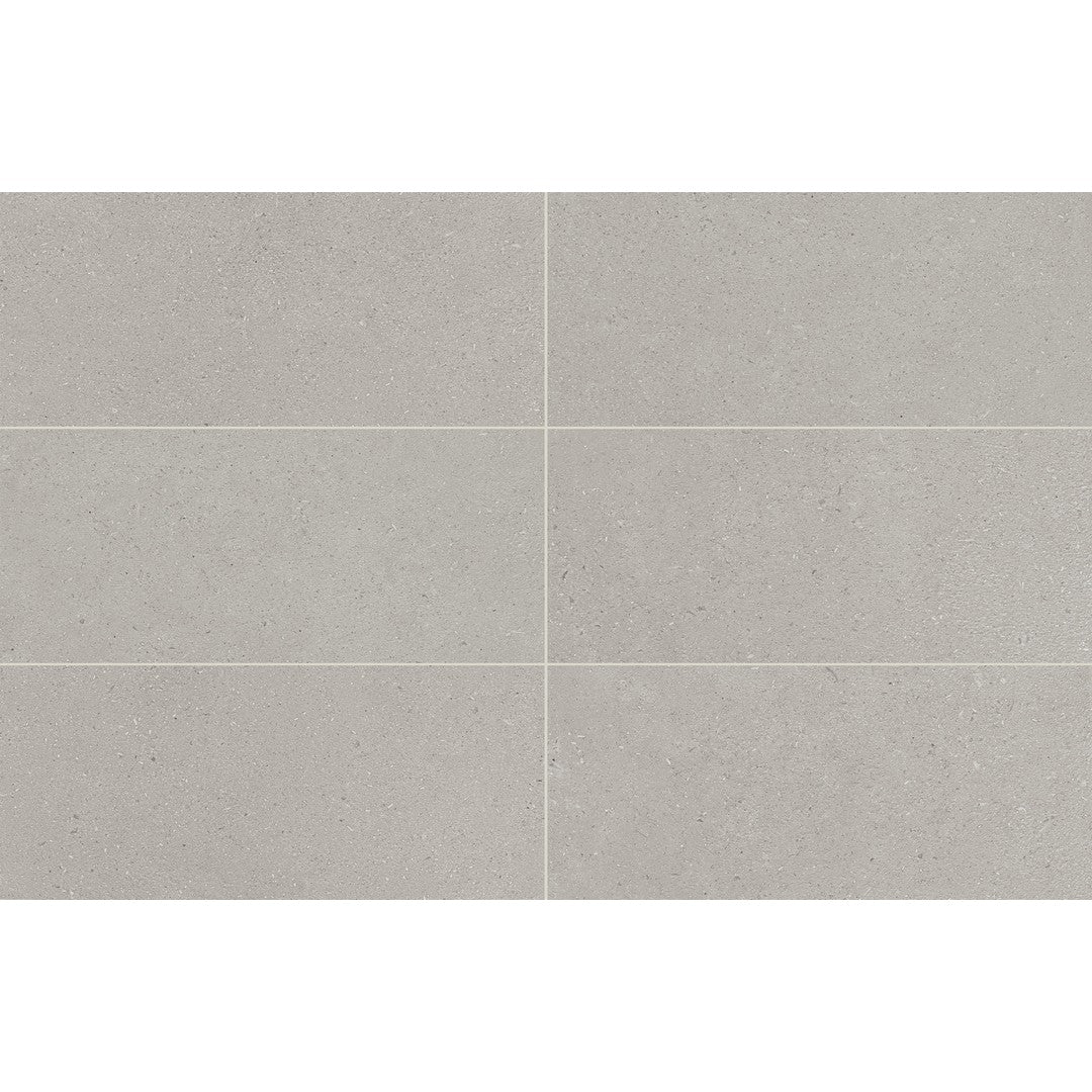 Daltile Outlander 12" x 24" Palazzo