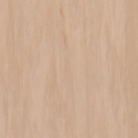 Tarkett 24" x 24" Standard Plus Homogeneous Vinyl Tile 2mil