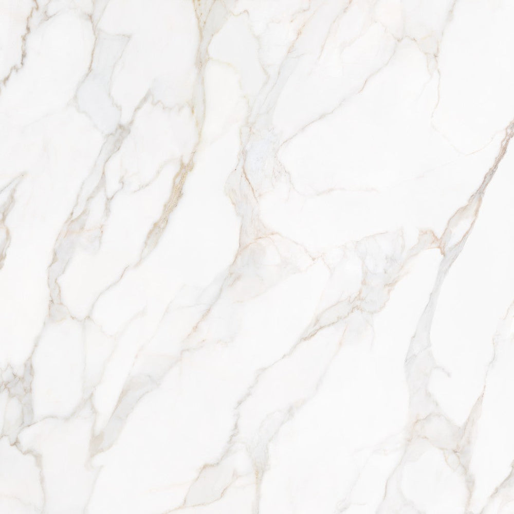 Tesoro 36" x 36" Paonazzo Rectified Matte Porcelain Tile