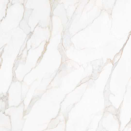 Tesoro 36" x 36" Paonazzo Rectified Matte Porcelain Tile