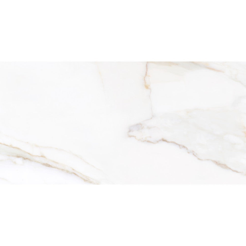 Tesoro 12" x 24" Paonazzo Rectified Polished Porcelain Tile