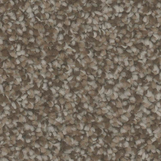 Phenix_Microban_Foundation_I_12_Polyester_Carpet_Tile_Pebble