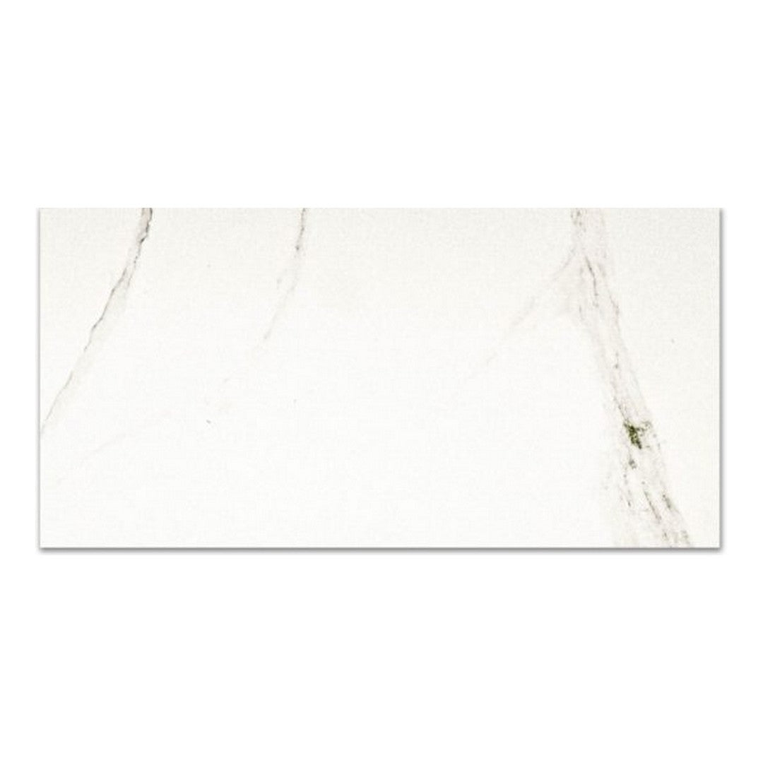 Qualis Ceramica 12" x 24" Ardor Rectified Matte Porcelain Tile