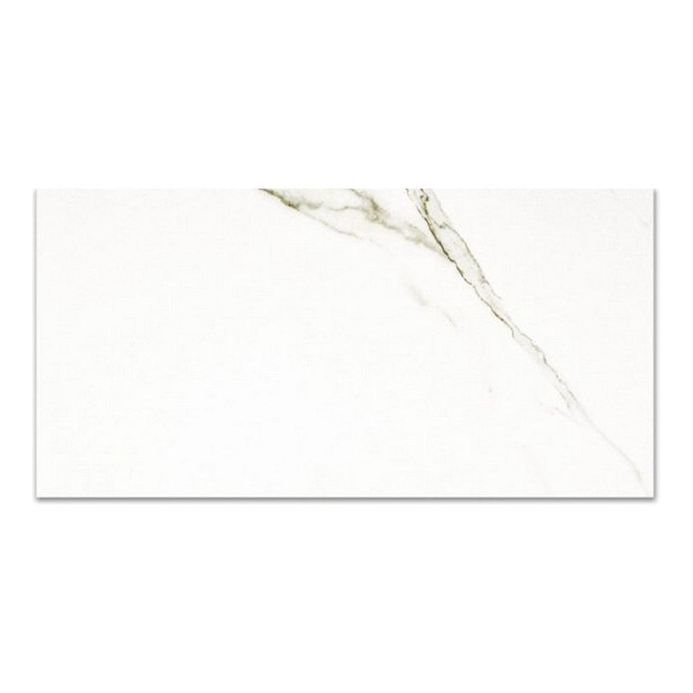 Qualis Ceramica 12" x 24" Ardor Rectified Polished Porcelain Tile