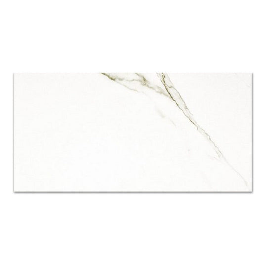 Qualis Ceramica 12" x 24" Ardor Rectified Polished Porcelain Tile