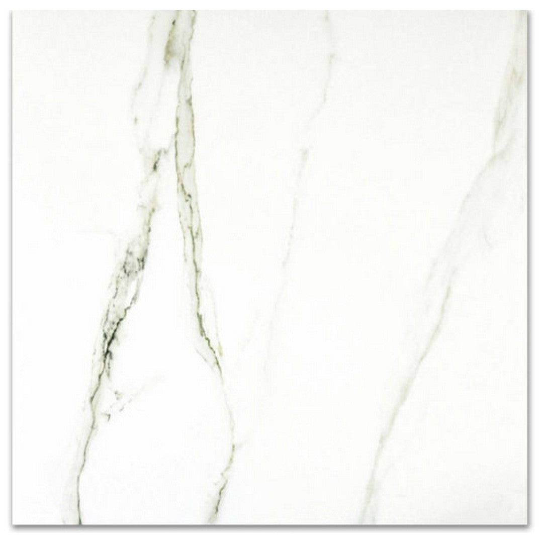 Qualis Ceramica 24" x 24" Ardor Rectified Matte Porcelain Tile