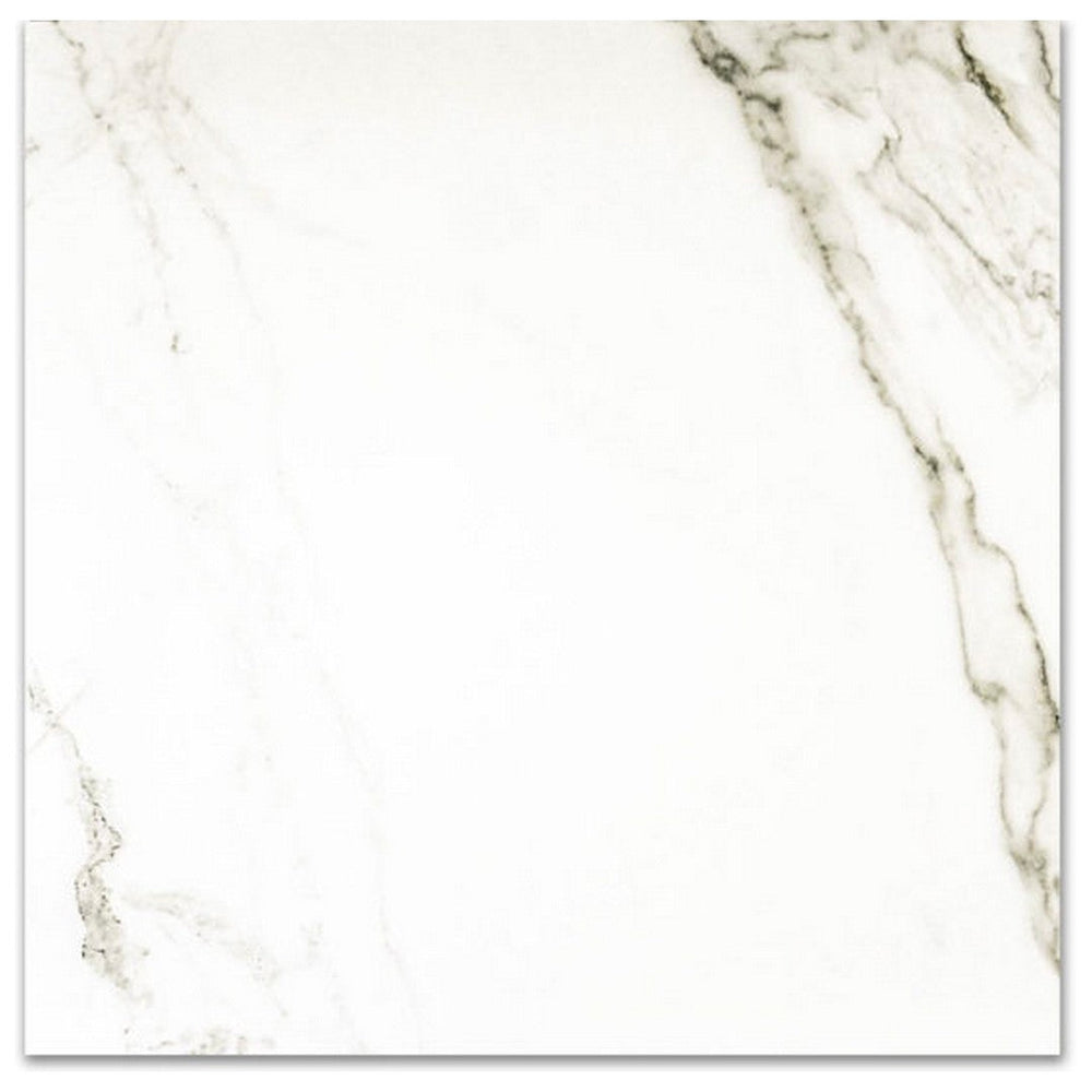 Qualis Ceramica 24" x 24" Ardor Rectified Polished Porcelain Tile
