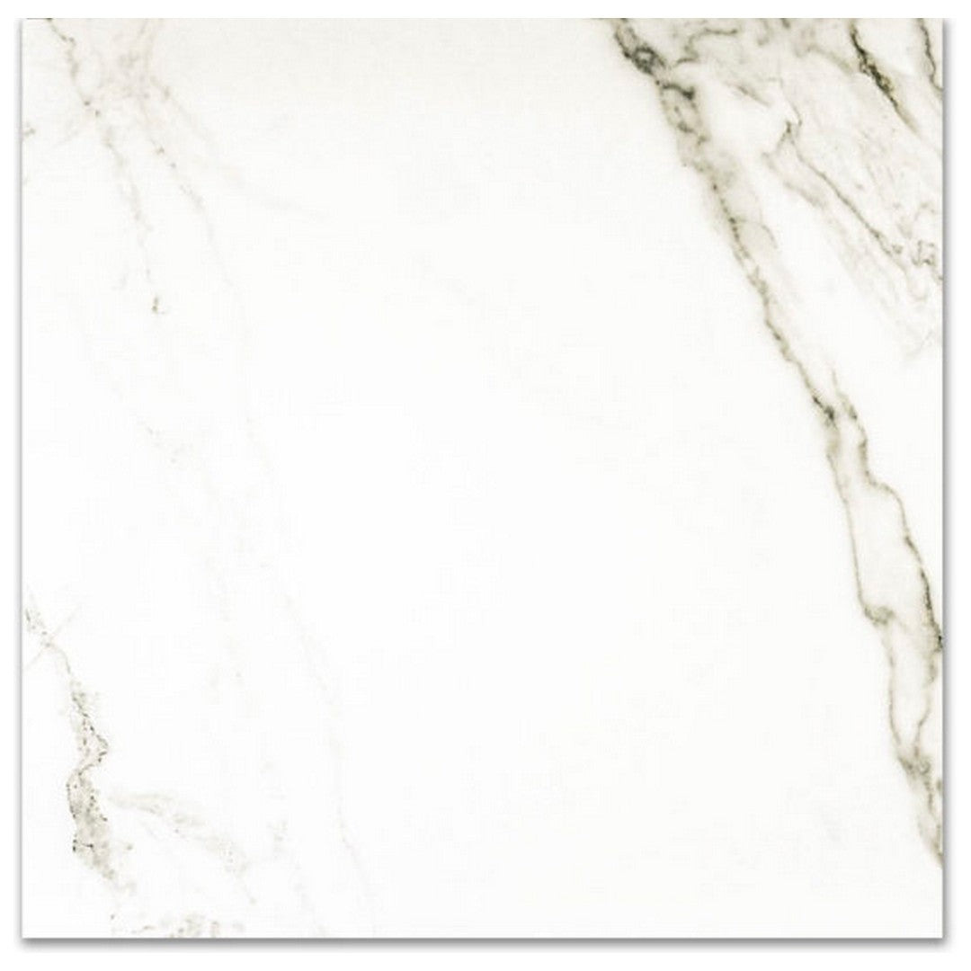 Qualis Ceramica 24" x 24" Ardor Rectified Polished Porcelain Tile
