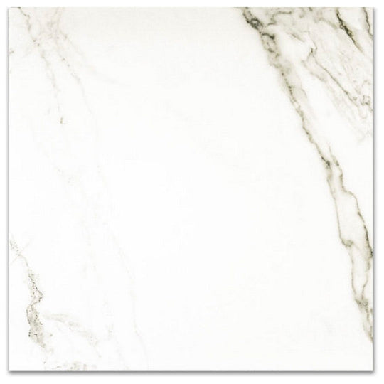 Qualis Ceramica 24" x 24" Ardor Rectified Polished Porcelain Tile