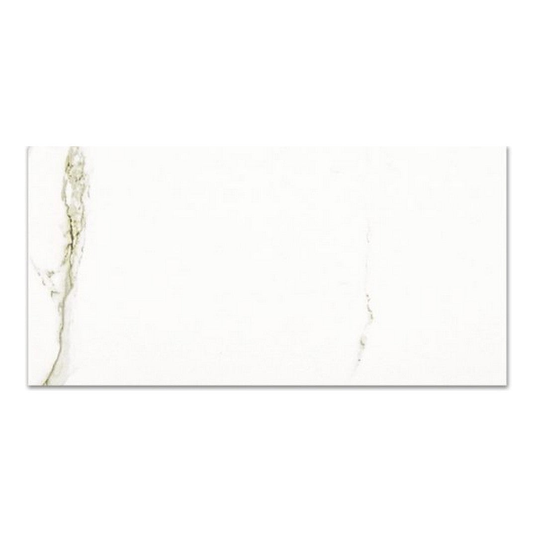 Qualis Ceramica 16" x 32" Ardor Rectified Matte Porcelain Tile