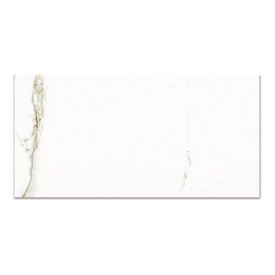 Qualis Ceramica 16" x 32" Ardor Rectified Matte Porcelain Tile