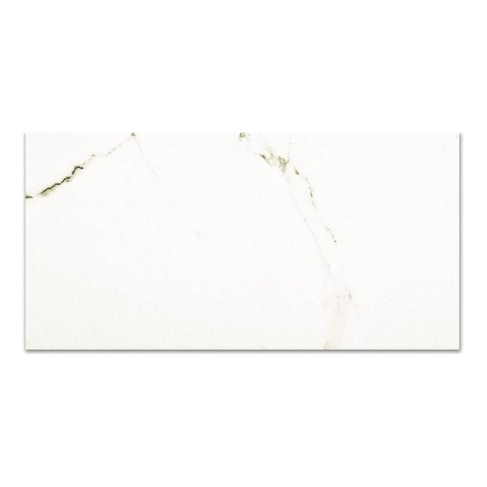 Qualis Ceramica 16" x 32" Ardor Rectified Polished Porcelain Tile