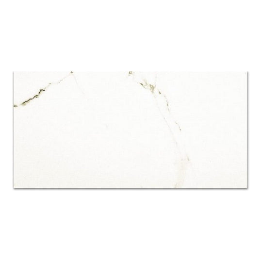 Qualis Ceramica 16" x 32" Ardor Rectified Polished Porcelain Tile