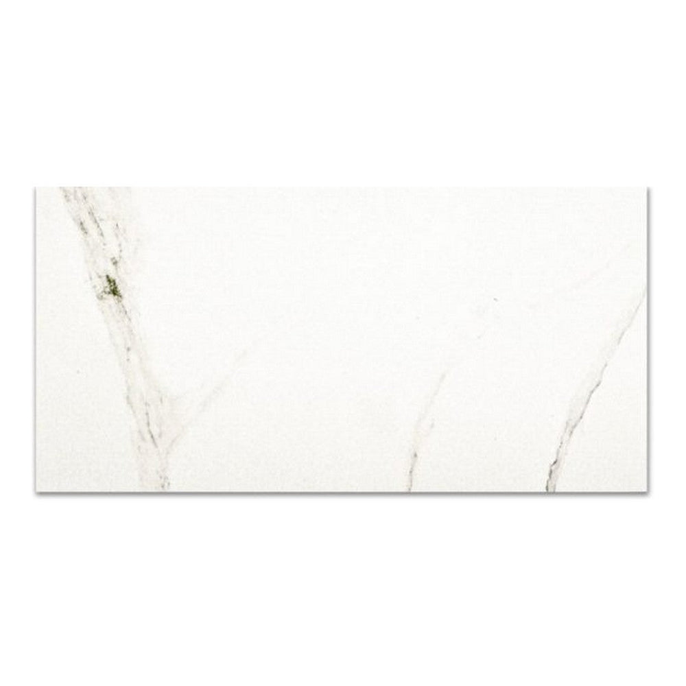 Qualis Ceramica 24" x 48" Ardor Rectified Polished Porcelain Tile
