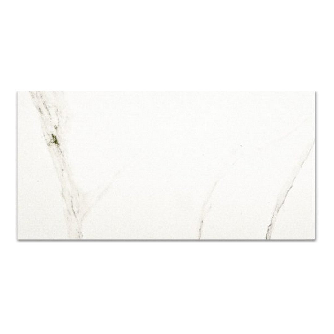 Qualis Ceramica 24" x 48" Ardor Rectified Polished Porcelain Tile