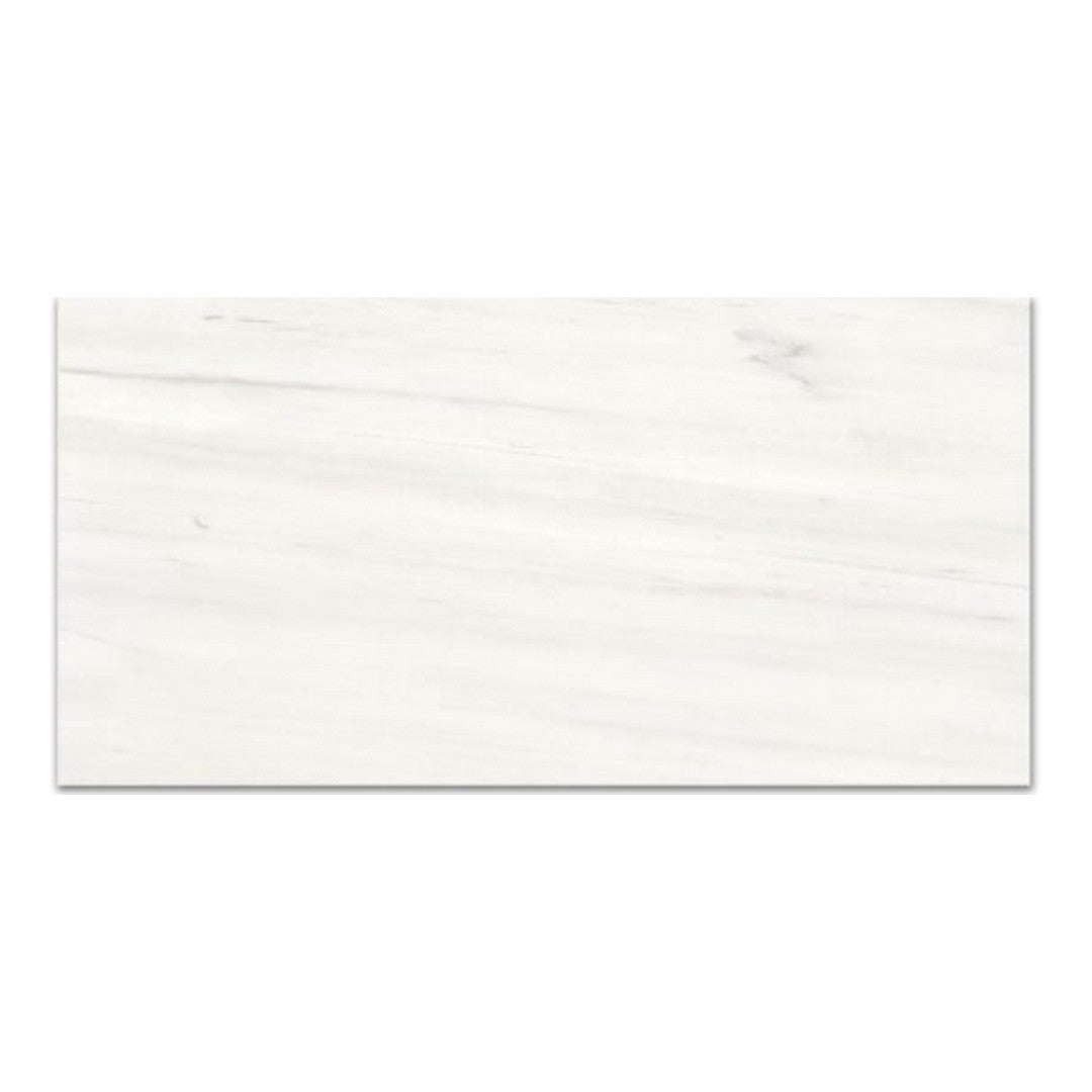 Qualis Ceramica 16" x 32" Ardor Rectified Matte Porcelain Tile