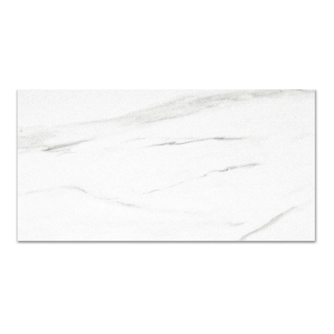 Qualis Ceramica 12" x 24" Ardor Rectified Matte Porcelain Tile