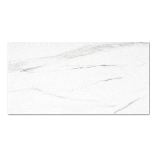 Qualis Ceramica 12" x 24" Ardor Rectified Matte Porcelain Tile