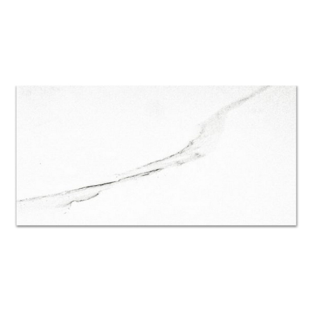 Qualis Ceramica 12" x 24" Ardor Rectified Polished Porcelain Tile