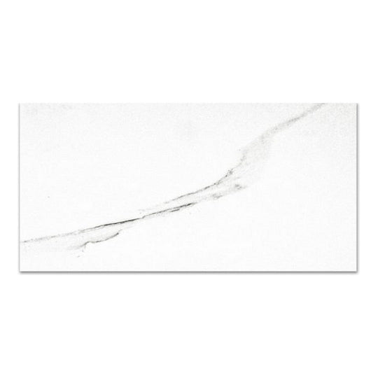 Qualis Ceramica 12" x 24" Ardor Rectified Polished Porcelain Tile