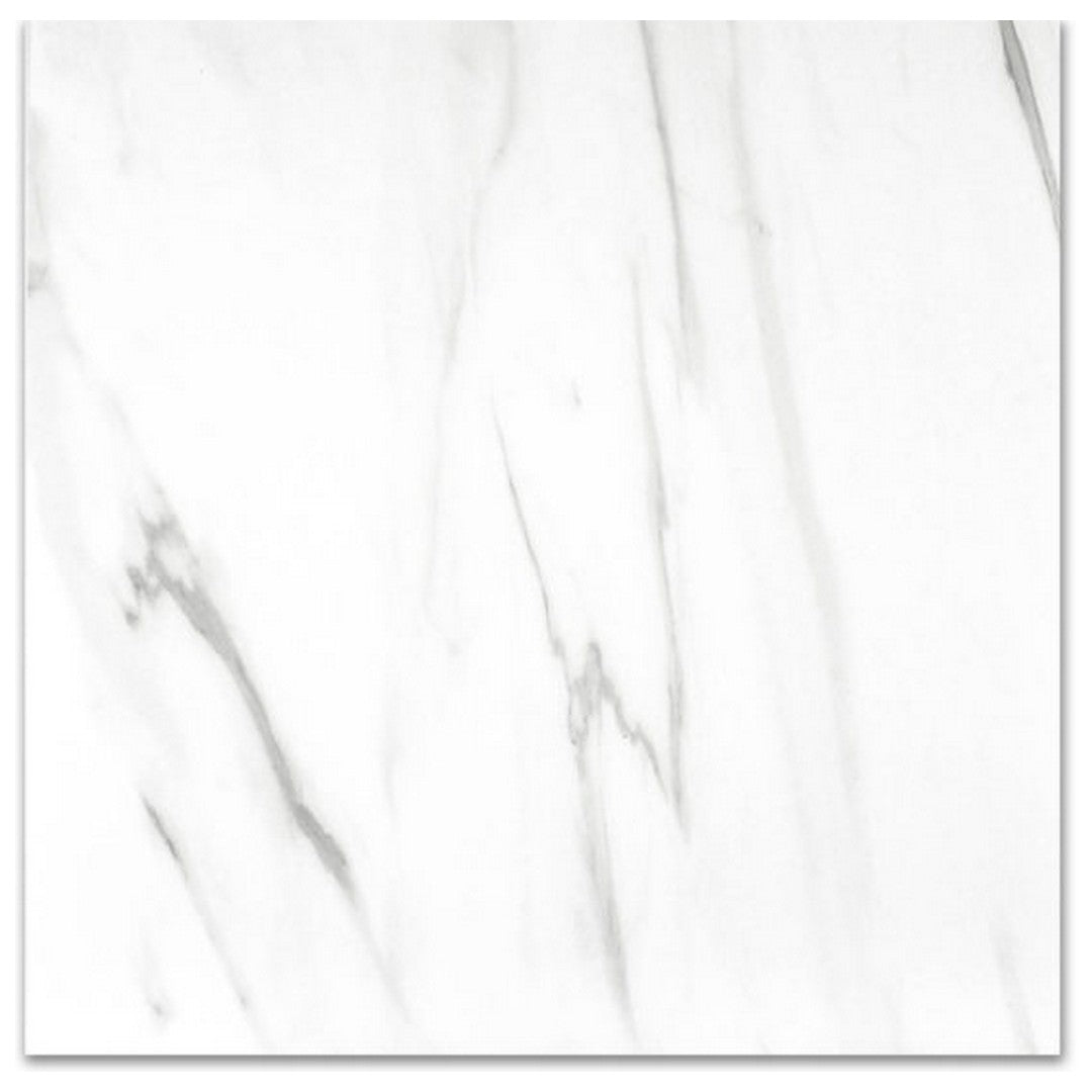 Qualis Ceramica 24" x 24" Ardor Rectified Matte Porcelain Tile